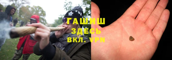 прущие грибы Баксан