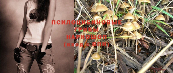 прущие грибы Баксан