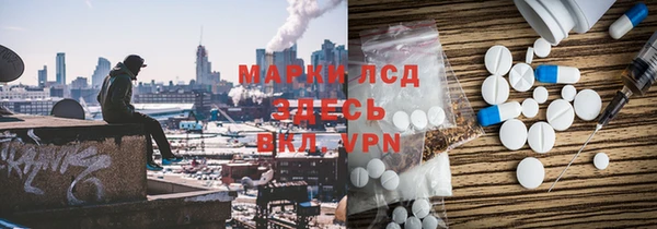 прущие грибы Баксан