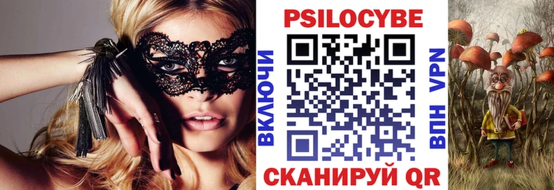 Галлюциногенные грибы Psilocybine cubensis  Жиздра 